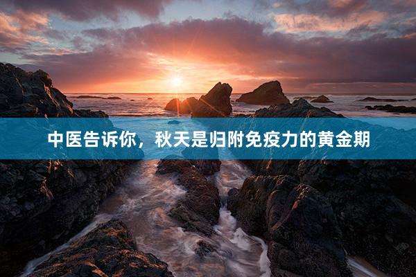 中医告诉你,秋天是归附免疫力的黄金期