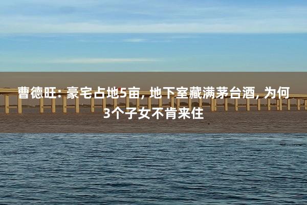 曹德旺: 豪宅占地5亩, 地下室藏满茅台酒, 为何3个子女不肯来住