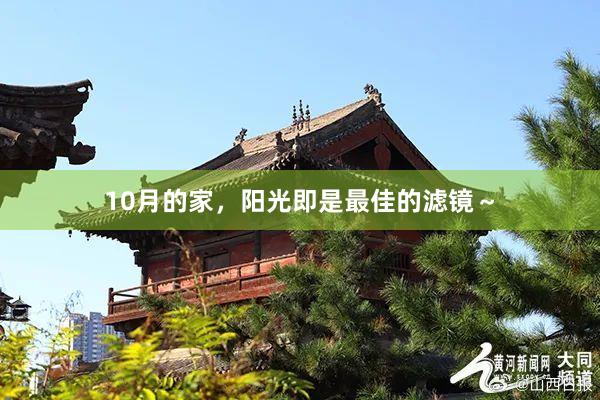 10月的家，阳光即是最佳的滤镜～