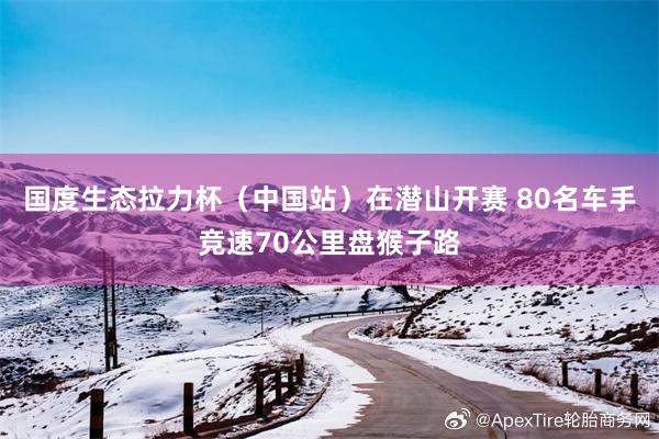 国度生态拉力杯（中国站）在潜山开赛 80名车手竞速70公里盘猴子路