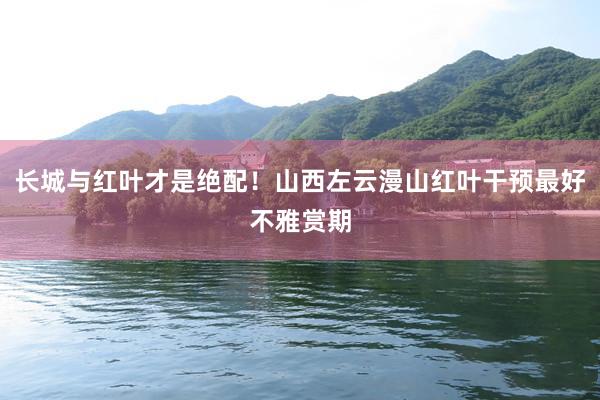 长城与红叶才是绝配！山西左云漫山红叶干预最好不雅赏期