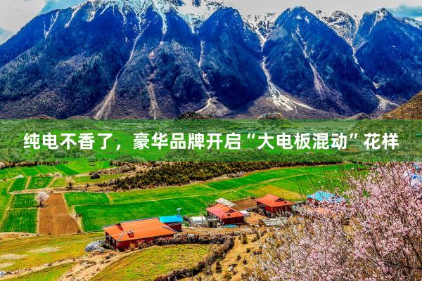 纯电不香了，豪华品牌开启“大电板混动”花样
