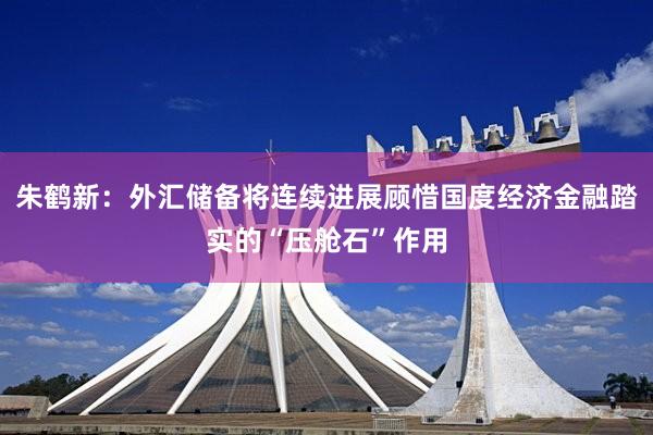 朱鹤新：外汇储备将连续进展顾惜国度经济金融踏实的“压舱石”作用