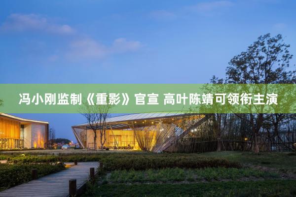 冯小刚监制《重影》官宣 高叶陈靖可领衔主演