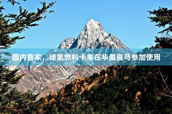 国内首家，绿氢燃料卡车在华晨良马参加使用
