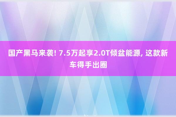 国产黑马来袭! 7.5万起享2.0T倾盆能源, 这款新车得手出圈