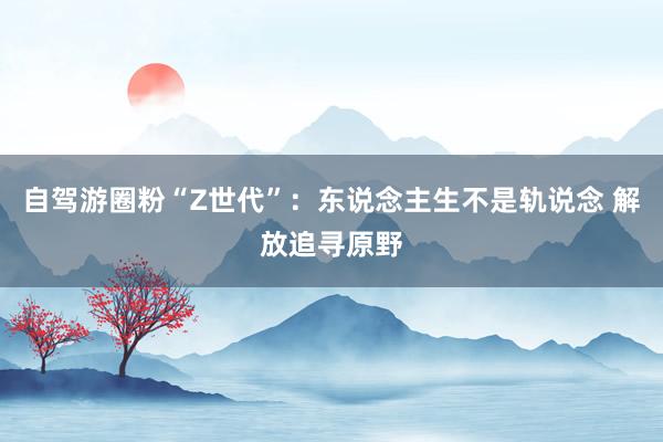 自驾游圈粉“Z世代”：东说念主生不是轨说念 解放追寻原野