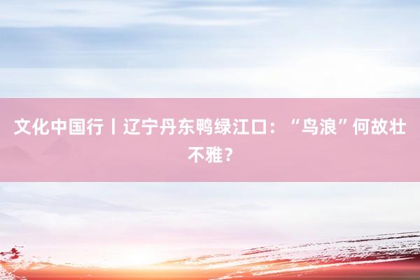 文化中国行丨辽宁丹东鸭绿江口：“鸟浪”何故壮不雅？