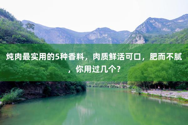 炖肉最实用的5种香料，肉质鲜活可口，肥而不腻，你用过几个？