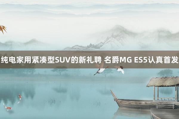 纯电家用紧凑型SUV的新礼聘 名爵MG ES5认真首发